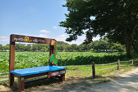 강주연못 사진3