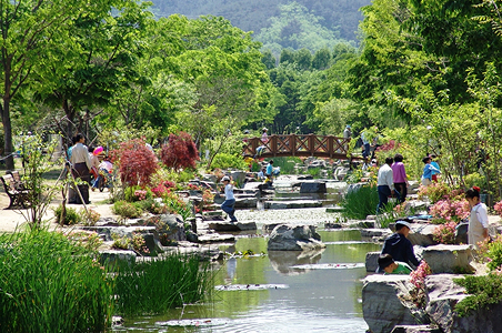 경상남도 수목원 사진3